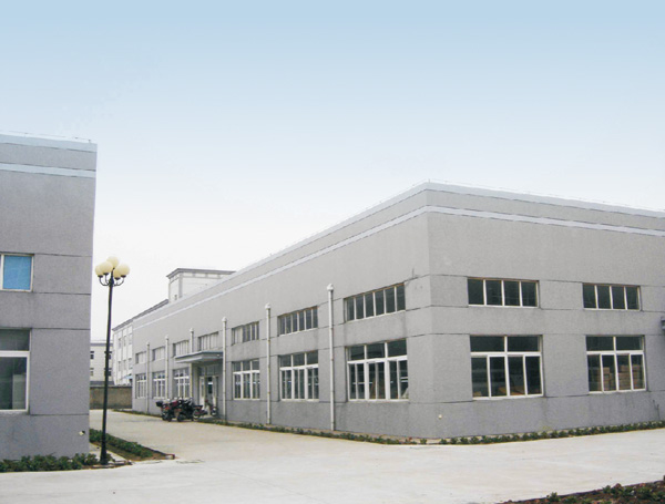 Company profile